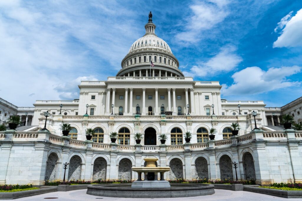 government
